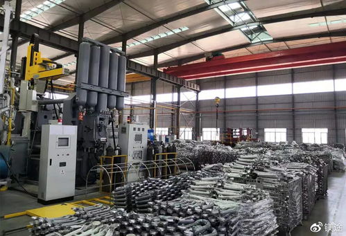 中镁科技与潘复生院士团队合力打造镁合金新材料及应用基，引领新材料技术研发新篇章